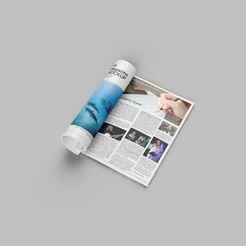 Article presse