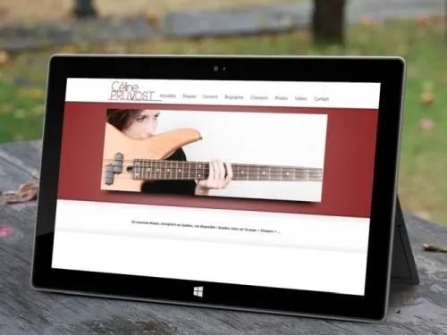 Site de musicien